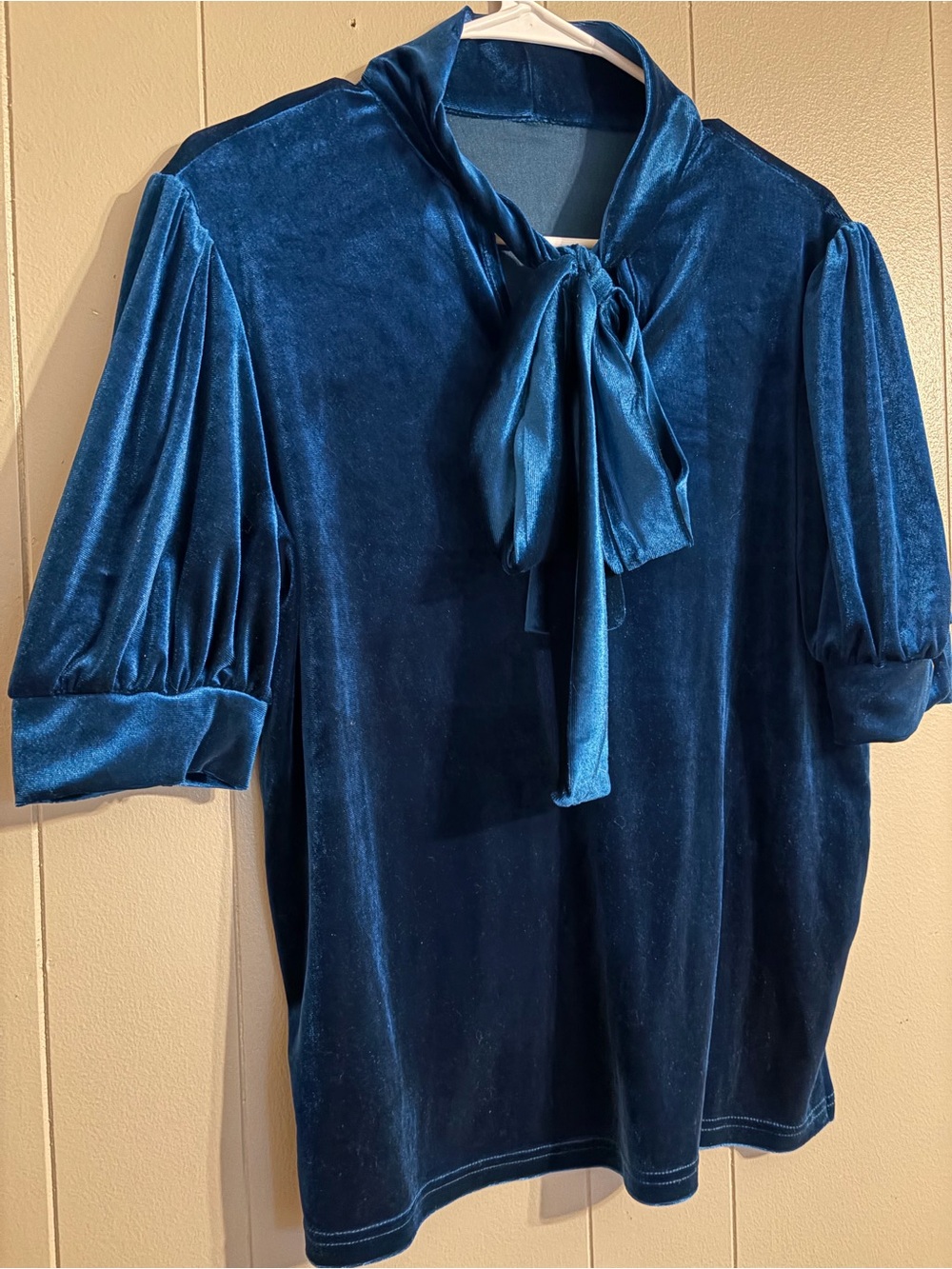 Velvet Tie-Neck Puff Sleeve Blouse in Deep Teal